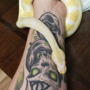 Meet your Posher, Anna